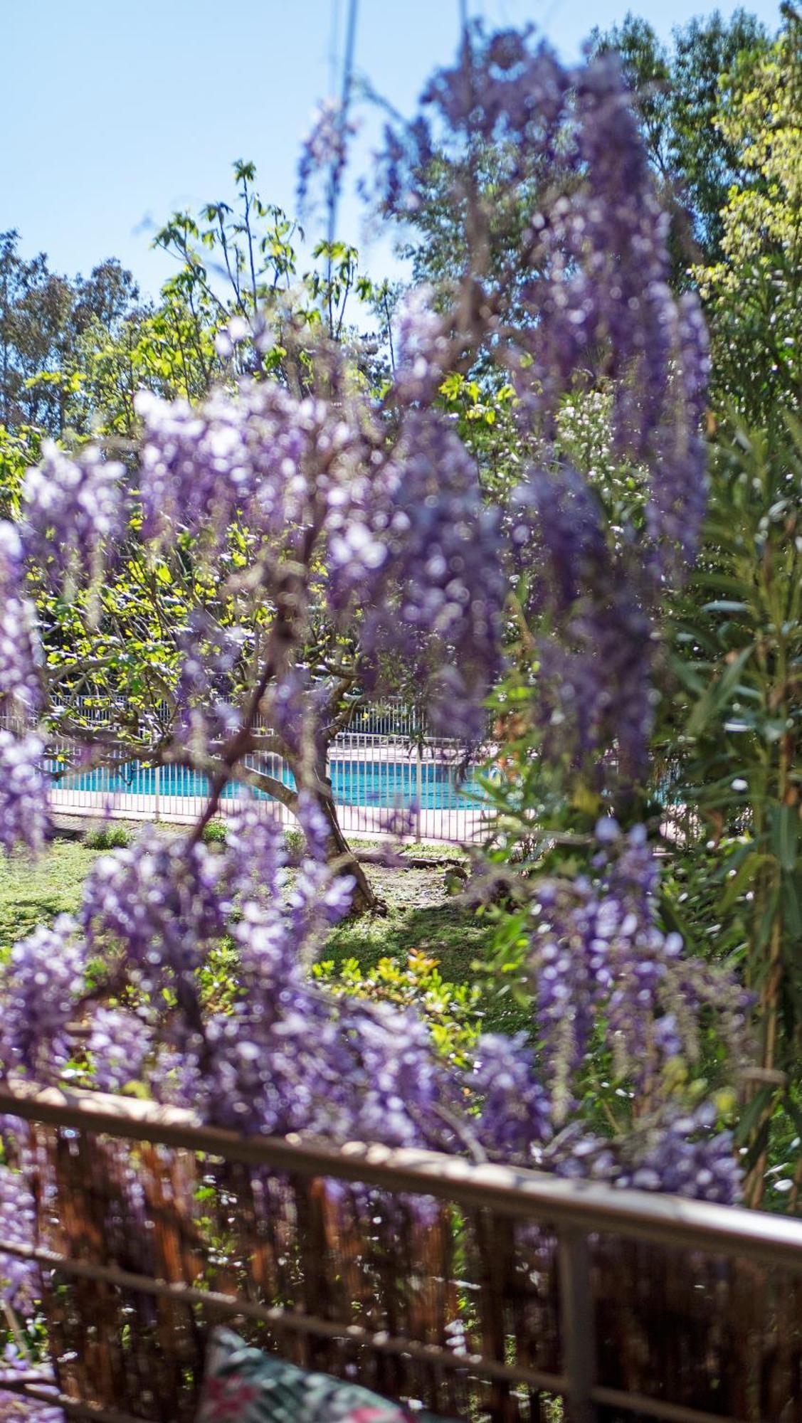 Апартаменти Casa Laura -Parking - Pool Сен-Тропе Екстер'єр фото